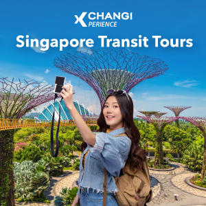singapore-transit-tours